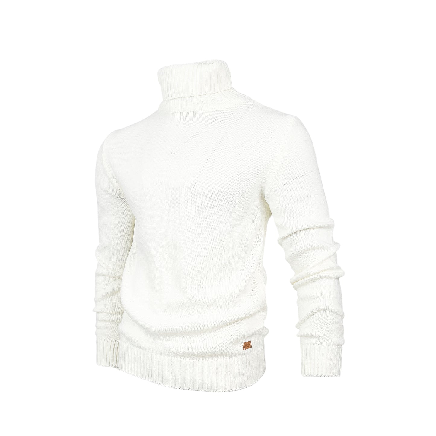 Men Regular fit Polo-necks