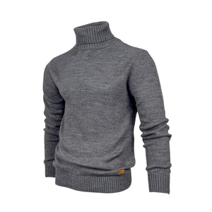 Men Regular fit Polo-necks