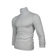 Load image into Gallery viewer, Men Solid Colour Polo-neck
