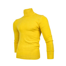 Load image into Gallery viewer, Men Solid Colour Polo-neck
