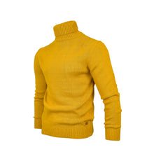 Load image into Gallery viewer, Men Regular fit Polo-necks
