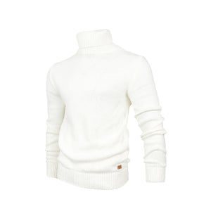 Men Regular fit Polo-necks